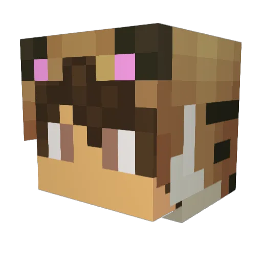 MCcheesepuff Minecraft avatar head, 3D render