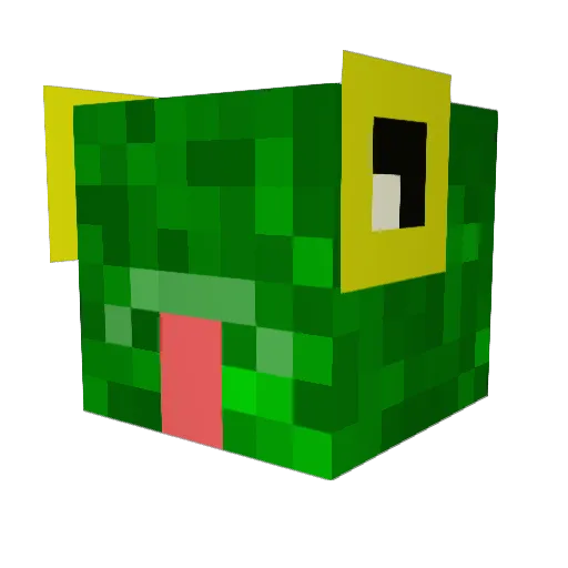 MCfroggie Minecraft avatar head, 3D render
