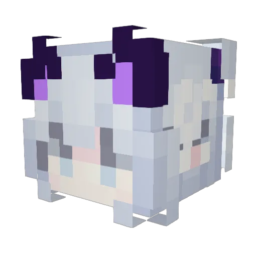 MClDidiMSl Minecraft avatar head, 3D render
