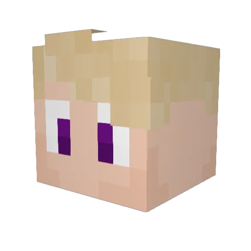 MCr0n1n Minecraft avatar head, 3D render