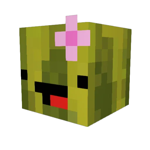 MDGIRL3 Minecraft avatar head, 3D render