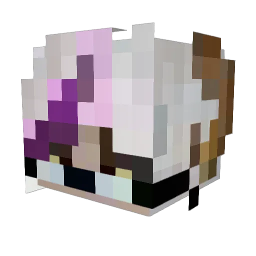 MDGamer3575 Minecraft avatar head, 3D render