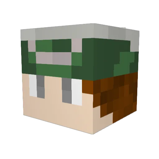 MD_Nyancat Minecraft avatar head, 3D render