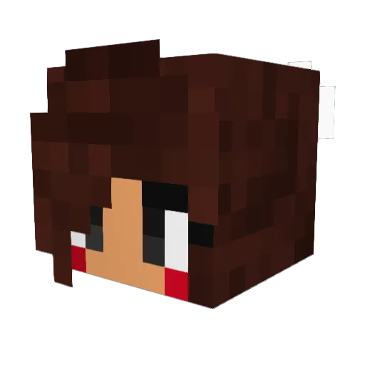 MEANMACHINE001 Minecraft avatar head, 3D render
