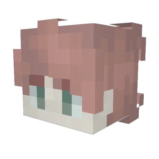 MEATYMELVIN Minecraft avatar head, 3D render