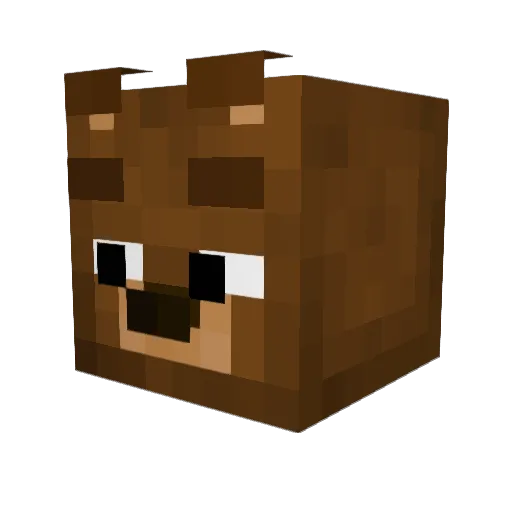 MEDBEDb357 Minecraft avatar head, 3D render