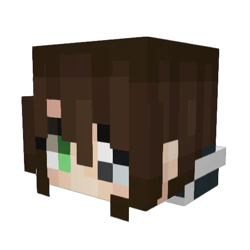 MEEBSS Minecraft avatar head, 3D render