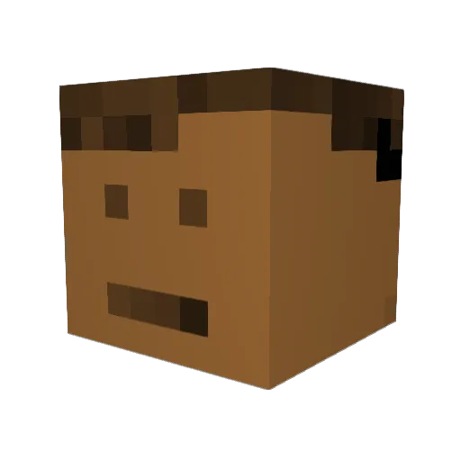 MEEP890 Minecraft avatar head, 3D render