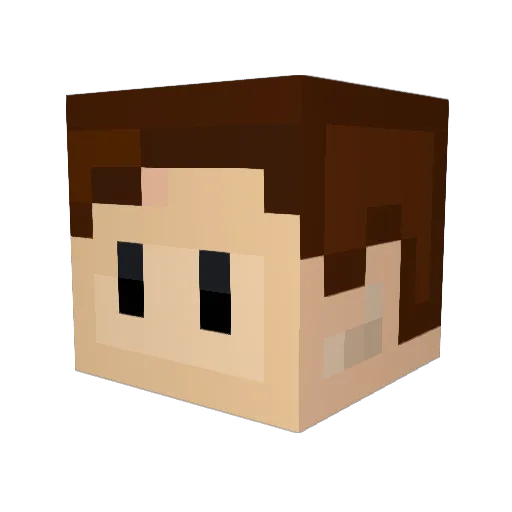 MEGAMAN876 Minecraft avatar head, 3D render