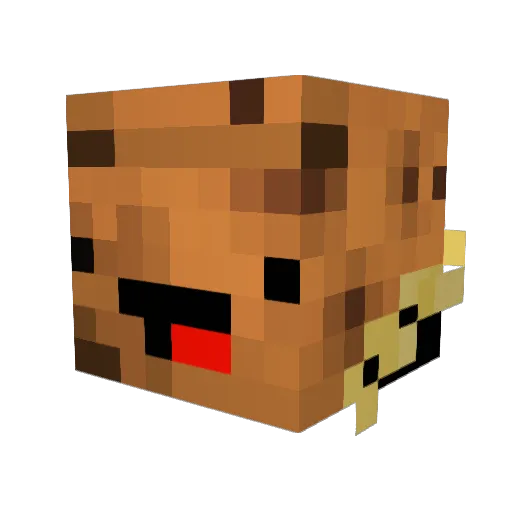 MEGAcookie1010 Minecraft avatar head, 3D render