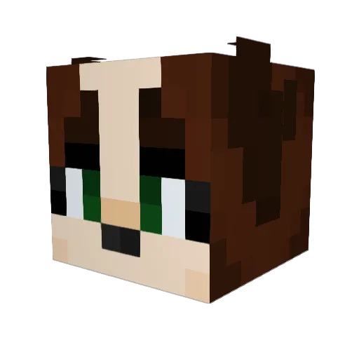MEIMEIPRINCESS Minecraft avatar head, 3D render