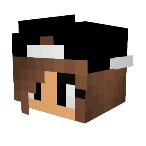 MELLOW16 Minecraft avatar head, 3D render