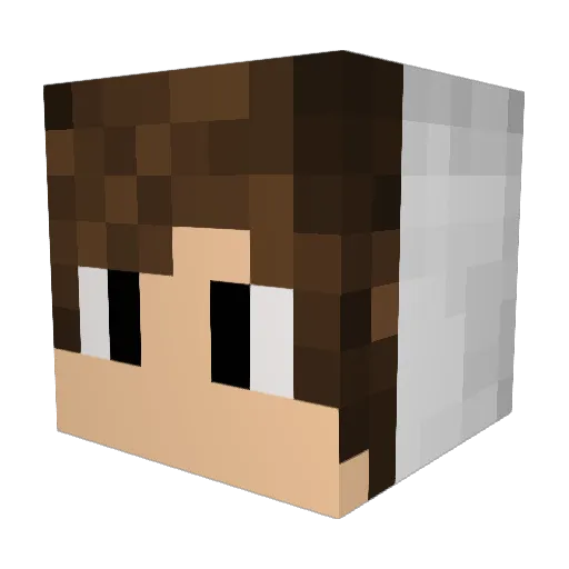 MEMEKING_XDD Minecraft avatar head, 3D render