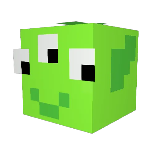 MEOWRAWRMEOWRAWR Minecraft avatar head, 3D render