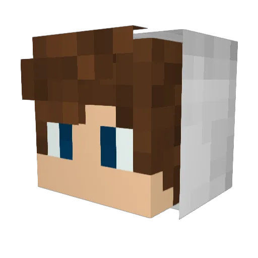 MEP26 Minecraft avatar head, 3D render