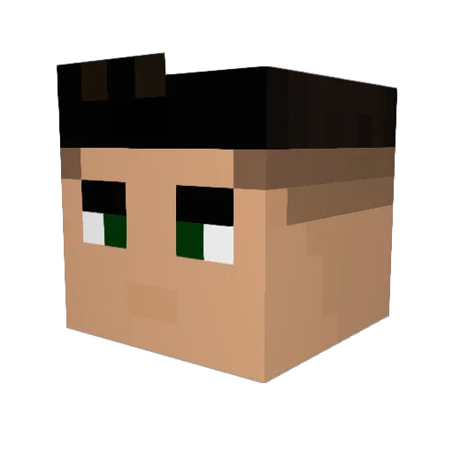 MEPW_ Minecraft avatar head, 3D render