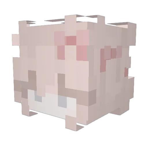 MEWTUNE Minecraft avatar head, 3D render