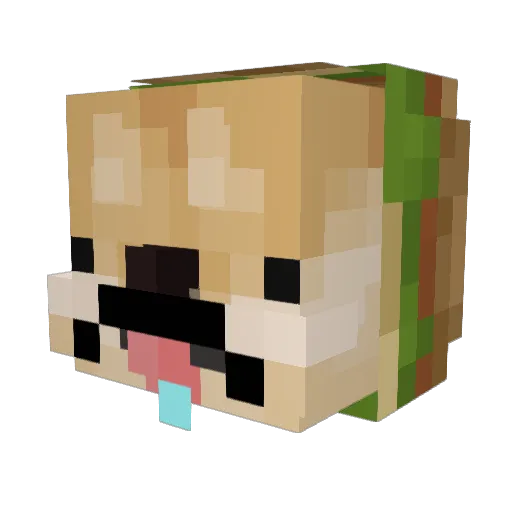 MEXI505050 Minecraft avatar head, 3D render