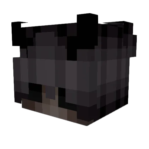 MErayDMR06 Minecraft avatar head, 3D render
