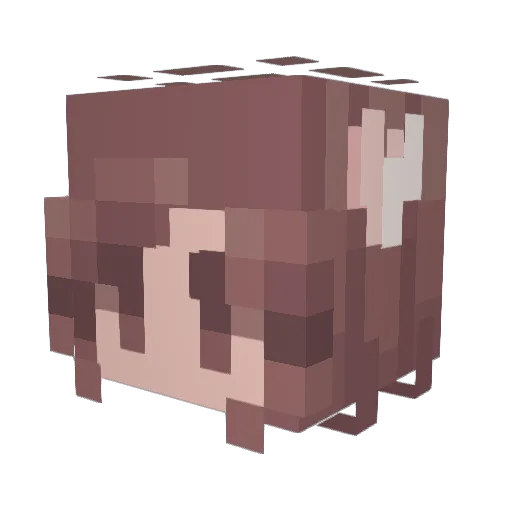MFBailey49 Minecraft avatar head, 3D render