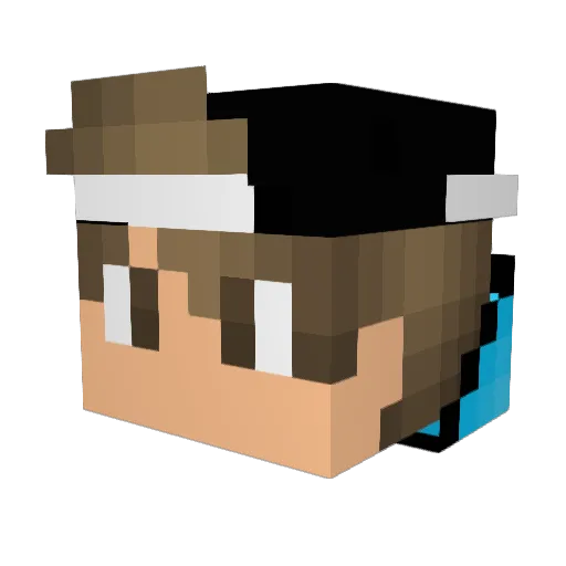 MFC_Meltzer Minecraft avatar head, 3D render