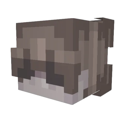 MFSW Minecraft avatar head, 3D render