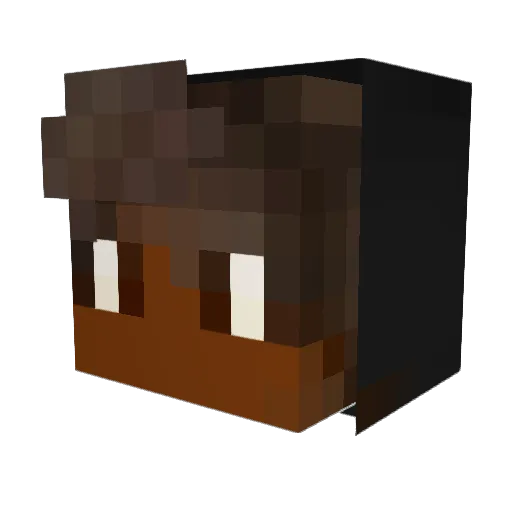 MGAMERYT5 Minecraft avatar head, 3D render