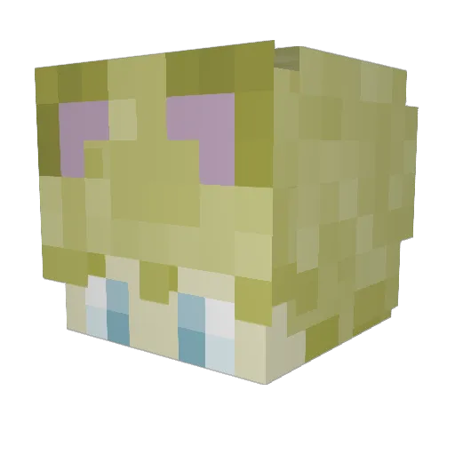 MGDJ5 Minecraft avatar head, 3D render