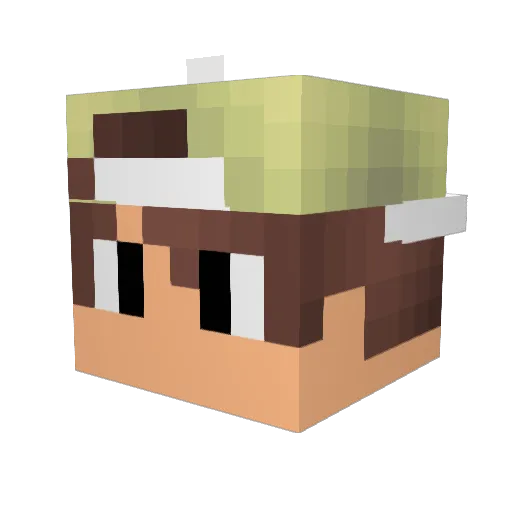 MGTro Minecraft avatar head, 3D render