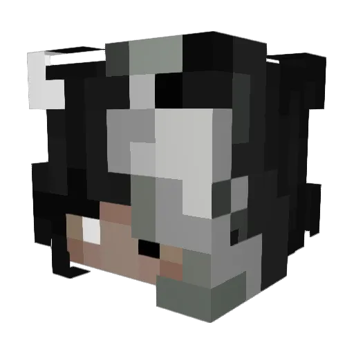 MGfiero Minecraft avatar head, 3D render