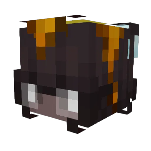 MI54 Minecraft avatar head, 3D render