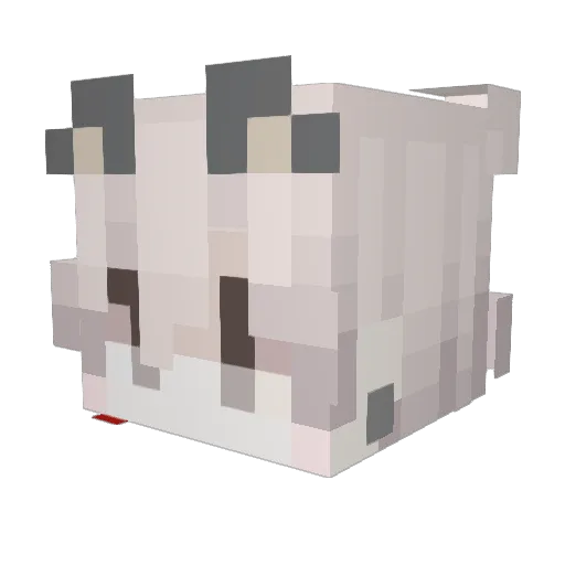 MIAW_WERX Minecraft avatar head, 3D render