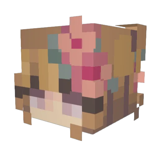 MIA_Texas Minecraft avatar head, 3D render