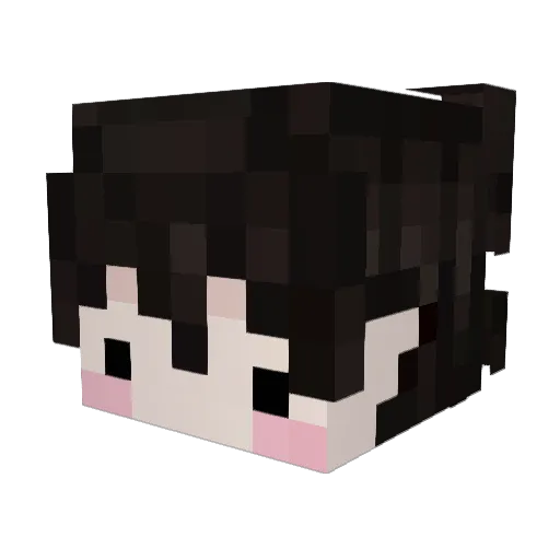 MIBR_Capital Minecraft avatar head, 3D render
