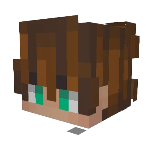 MICHAEL1408 Minecraft avatar head, 3D render