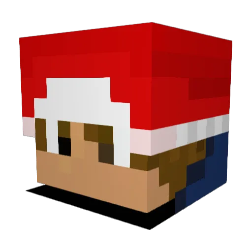 MICR0_BL0CK Minecraft avatar head, 3D render