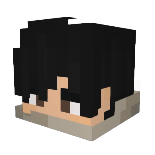 MIDAX999 Minecraft avatar head, 3D render