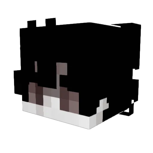 MIDIMINUIT Minecraft avatar head, 3D render