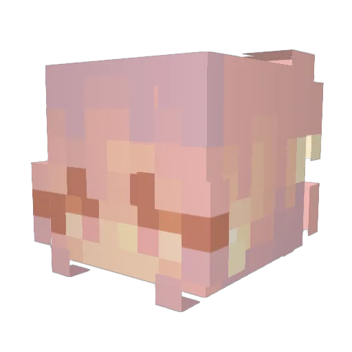 MIKElian Minecraft avatar head, 3D render