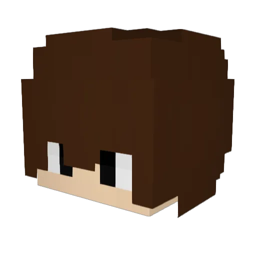 MILOY264 Minecraft avatar head, 3D render
