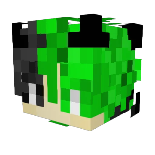 MIMIC1141 Minecraft avatar head, 3D render
