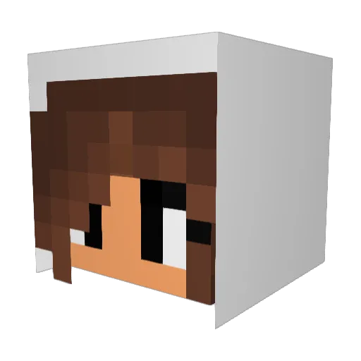 MIMMA9000 Minecraft avatar head, 3D render