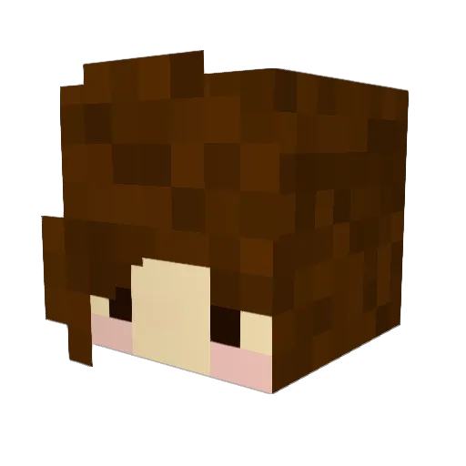 MINECRAFTPORK Minecraft avatar head, 3D render