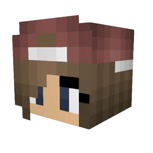 MINEcraft_737 Minecraft avatar head, 3D render