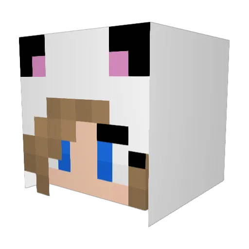MINICHESTER Minecraft avatar head, 3D render