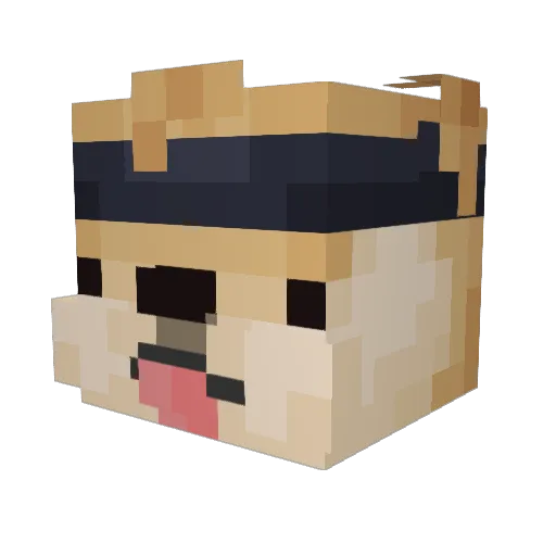 MINIDOUGH24 Minecraft avatar head, 3D render