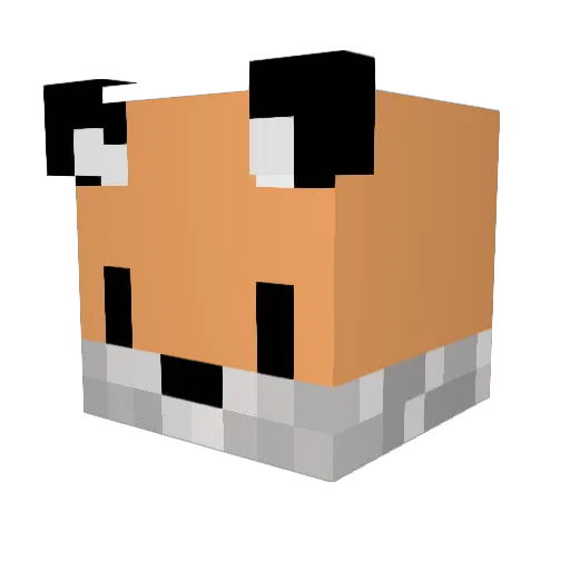 MINTCHOCO0329 Minecraft avatar head, 3D render