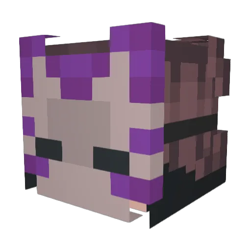 MINTKITTY__ Minecraft avatar head, 3D render