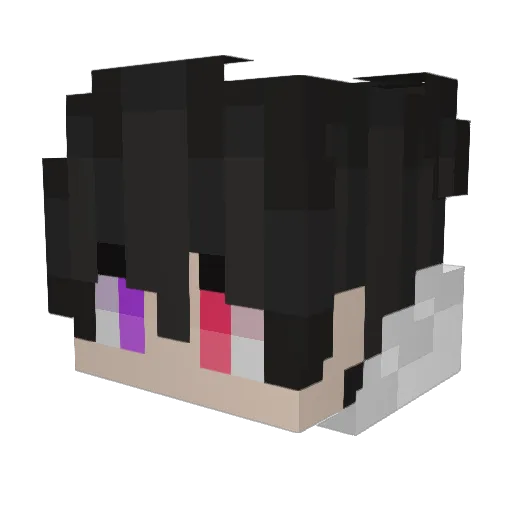 MINUSDIRECTOR Minecraft avatar head, 3D render