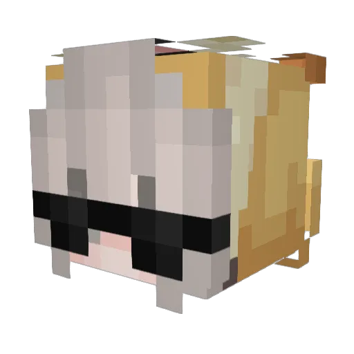 MIORINdao Minecraft avatar head, 3D render